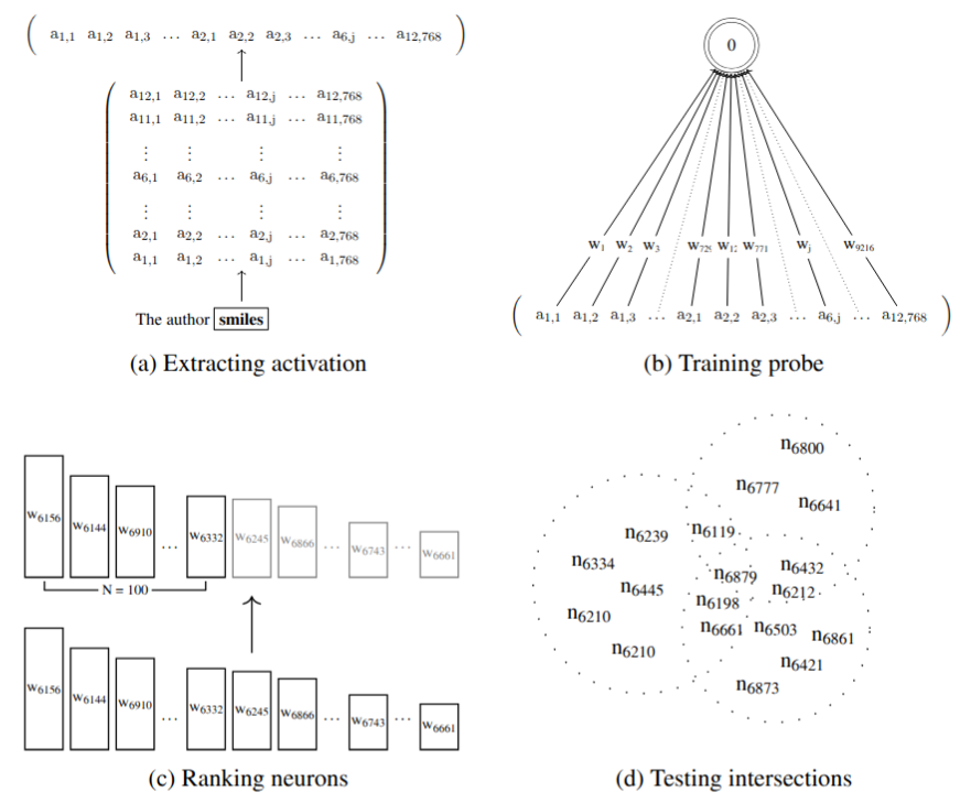 Hidden units and multilingual structure